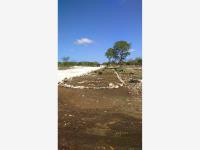 Terreno en venta en Izamal Centro, Izamal — foto 2 de 12