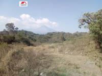 Terreno en venta en Comala, Comala — foto 2 de 5