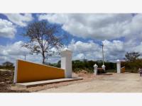 Terreno en venta en Izamal Centro, Izamal — foto 3 de 11