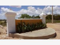 Terreno en venta en Izamal Centro, Izamal — foto 2 de 10