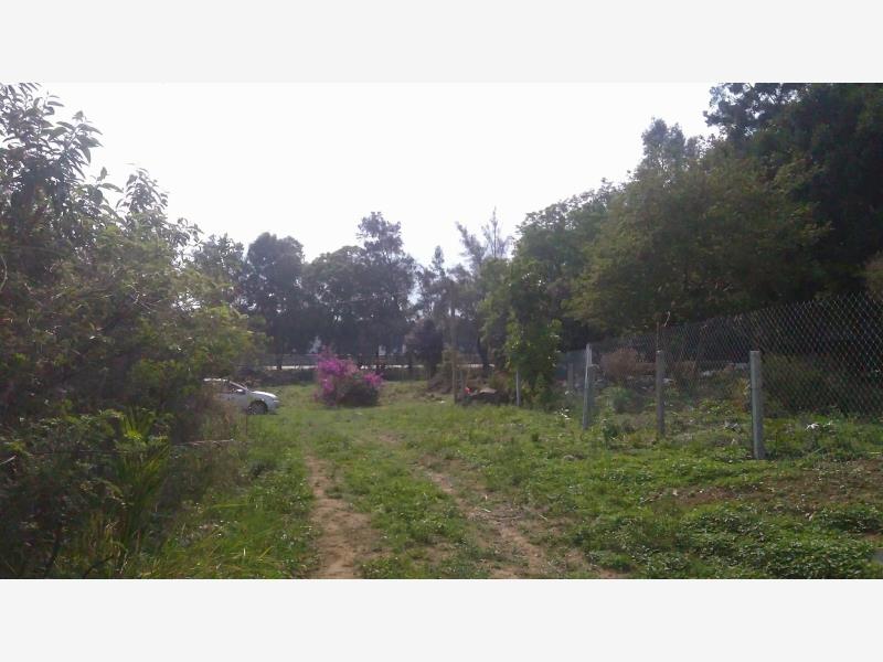 Terreno en venta en Chamilpa, Cuernavaca — foto 1 de 15