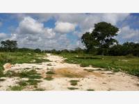 Terreno en venta en Izamal Centro, Izamal — foto 3 de 11