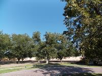 Terreno en venta en Las Villas, Torreón — foto 2 de 5
