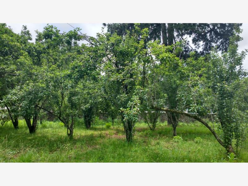 Terreno en venta en Explanada del Carmen, San Cristóbal de las Casas