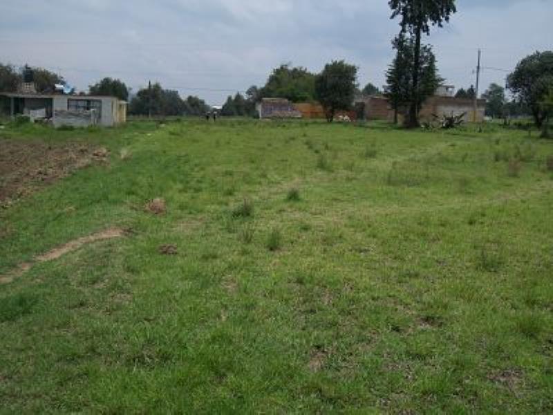 Terreno en venta en San Francisco Tlacuilohcan, Yauhquemehcan — foto 1 de 6