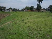 Terreno en venta en San Francisco Tlacuilohcan, Yauhquemehcan, Tlaxcala