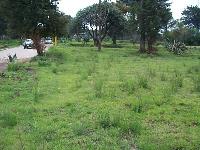 Terreno en venta en San Francisco Tlacuilohcan, Yauhquemehcan — foto 2 de 6