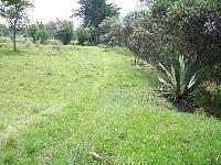 Terreno en venta en San Francisco Tlacuilohcan, Yauhquemehcan — foto 3 de 6