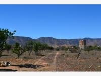 Terreno en venta en San Antonio de las Minas, Ensenada — foto 2 de 14