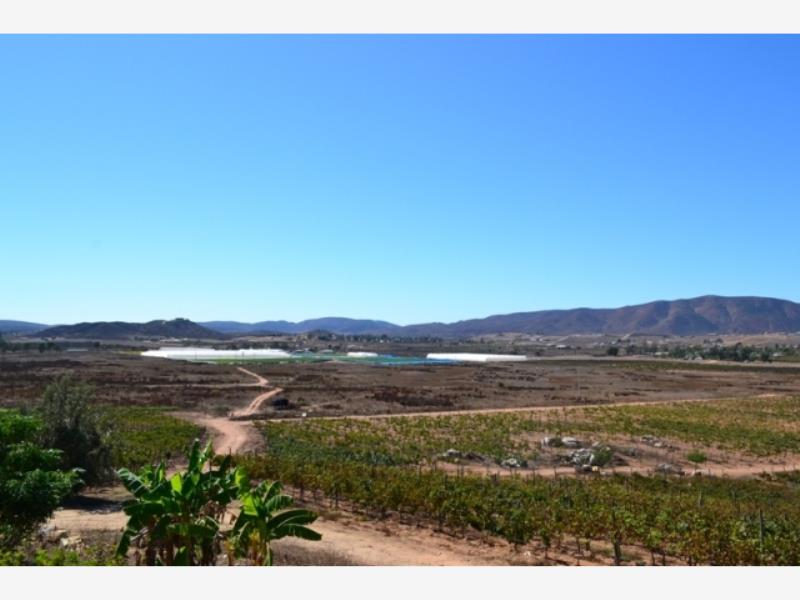 Terreno en venta en San Antonio de las Minas, Ensenada — foto 1 de 14