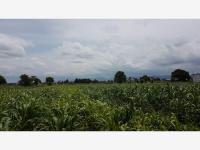 Terreno en venta en San Mateo Atenco Centro, San Mateo Atenco — foto 2 de 4