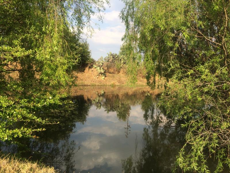 Terreno en venta en Encinillas, Aculco — foto 1 de 21