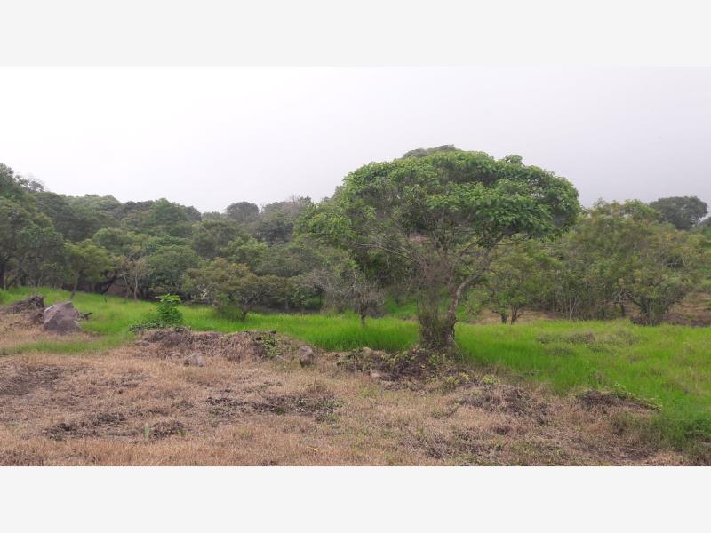 Terreno en venta en Comala, Comala