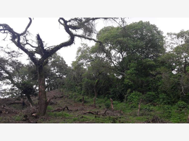 Terreno en venta en Comala, Comala