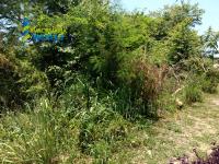 Terreno en Manlio Fabio Altamirano, Tuxpan, Veracruz de Ignacio de la Llave
