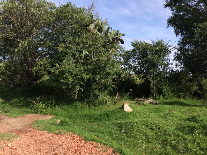 Terreno en venta en Arroyo Zarco, Aculco — foto 1 de 17