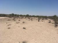 Terreno en venta en San Martín, Gómez Palacio — foto 2 de 8
