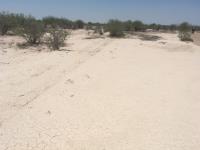 Terreno en venta en San Martín, Gómez Palacio — foto 3 de 8