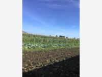 Terreno en venta en Magisterial, Tenango del Valle — foto 3 de 4