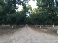 Terreno en venta en La Barranca, Torreón — foto 3 de 10