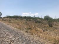 Terreno en venta en Apaseo El Grande Centro, Apaseo El Grande — foto 3 de 5
