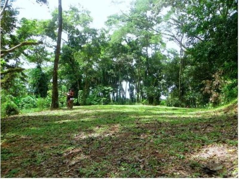 Terreno en venta en El Chivato (Providencia), Villa de Álvarez