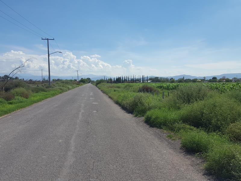 Terreno en venta en El Olivo, Matamoros — foto 1 de 3