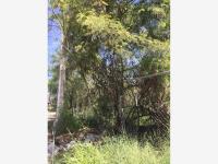 Terreno en venta en El Tajito, Torreón — foto 3 de 6