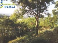 Terreno en venta en Antonio M. Quirasco, Coatzintla — foto 2 de 14