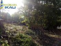 Terreno en venta en Antonio M. Quirasco, Coatzintla — foto 3 de 14