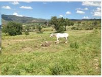 Terreno en venta en Epazoyucan Centro, Epazoyucan — foto 3 de 15