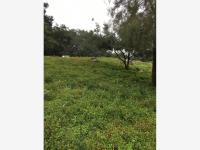 Terreno en venta en El Carrizal, Villa de Álvarez, Colima