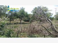 Terreno en venta en Cruz Naranjos, Tuxpan — foto 3 de 11