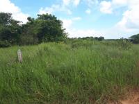 Terreno en venta en La Calzada, Tuxpan — foto 2 de 10