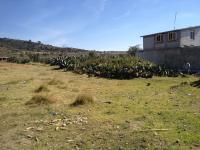 Terreno en venta en Singuilucan Centro, Singuilucan — foto 2 de 26