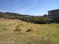 Terreno en venta en Singuilucan Centro, Singuilucan — foto 3 de 26