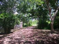 Terreno en venta en Izamal Centro, Izamal — foto 3 de 6