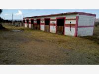 Finca-Rancho en venta en Zempoala Centro, Zempoala — foto 3 de 16