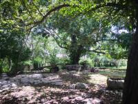 Terreno en venta en Izamal Centro, Izamal — foto 2 de 9