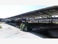 Finca-Rancho en venta en La Purísima (Buenavista), Polotitlán — foto 2 de 24