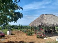 Terreno en venta en Mazatlan I, Mazatlán — foto 3 de 9