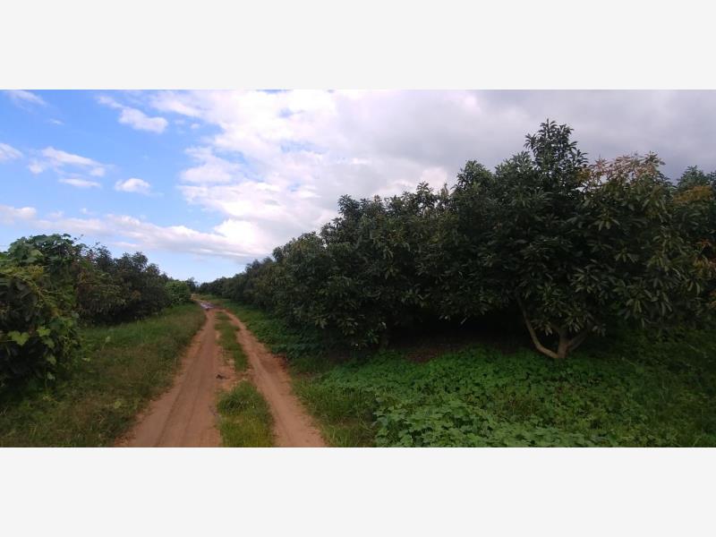 Terreno en venta en Magaña, Guadalajara