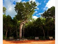 Terreno en venta en CHEMUYIL, Tulum — foto 2 de 10