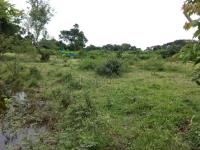 Terreno en venta en Países Bajos (Kilómetro 8), Tuxpan — foto 2 de 10