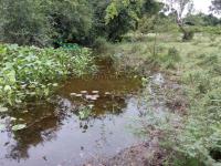 Terreno en venta en Países Bajos (Kilómetro 8), Tuxpan — foto 3 de 10