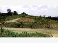 Terreno en venta en Cerro Del Mesón, Poza Rica de Hidalgo — foto 2 de 5