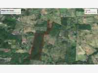 Terreno en venta en Cerro Azul Viejo, Cerro Azul — foto 3 de 7