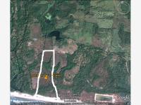 Terreno en venta en Joluta, La Unión de Isidoro Montes de Oca — foto 3 de 6