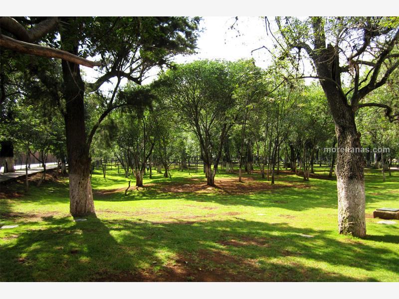 Terreno en venta en Chapultepec Norte, Morelia