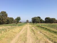 Terreno en venta en Santa Maria Tlacatecpa, Contla de Juan Cuamatzi — foto 2 de 7